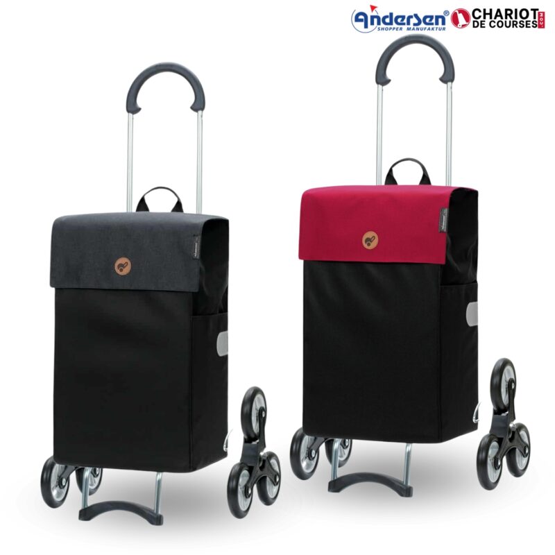 Andersen-scala-shopper-hera-6-roues.jpg